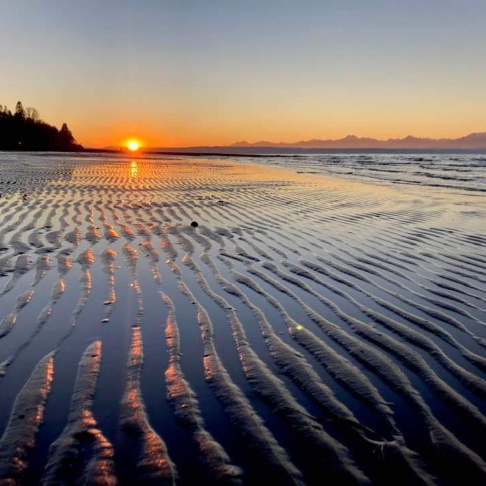 Meet your Posher, Phoenix B